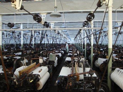 md_satpm_pic12.jpg - ....there are 380 of them under one roof............. (MD)