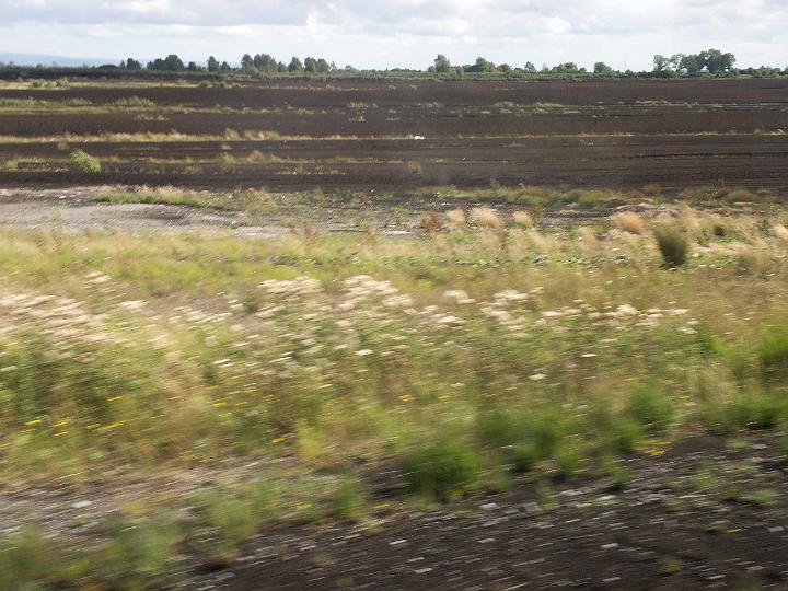 PICT0961.JPG - View of peat bog from moving train (MD)